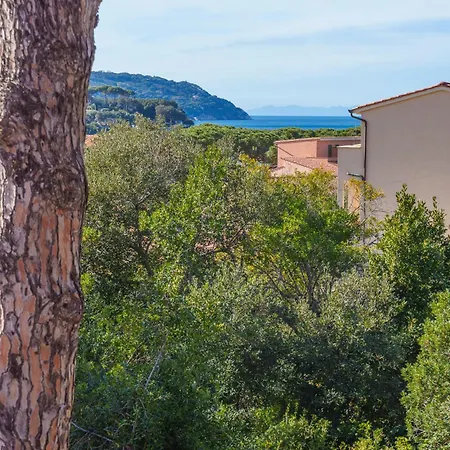 Marina Vip Anna Appartement